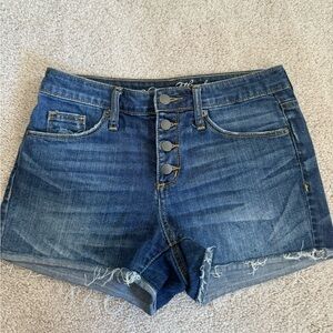 Universal Thread Women's Blue Jean Shorts - Sz 0/25R